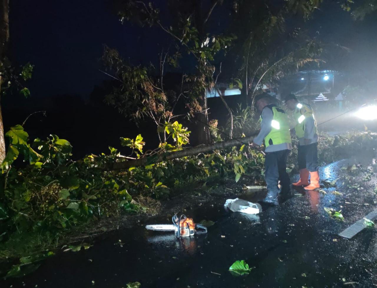 Sigap Polisi Ngawi Tangani Pohon Tumbang, Lalulintas Kembali Normal